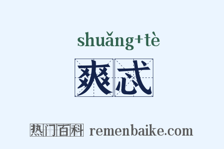 爽忒是什么意思的图片